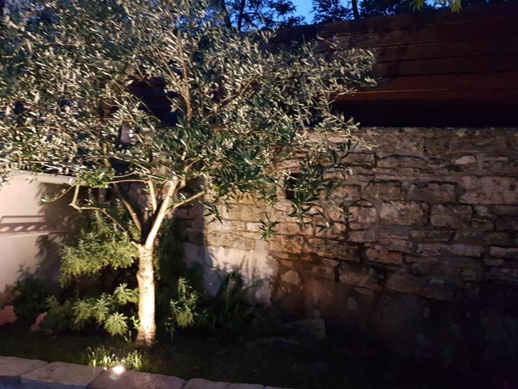 Brajkovici  Haus Delma 빌라 외부 사진
